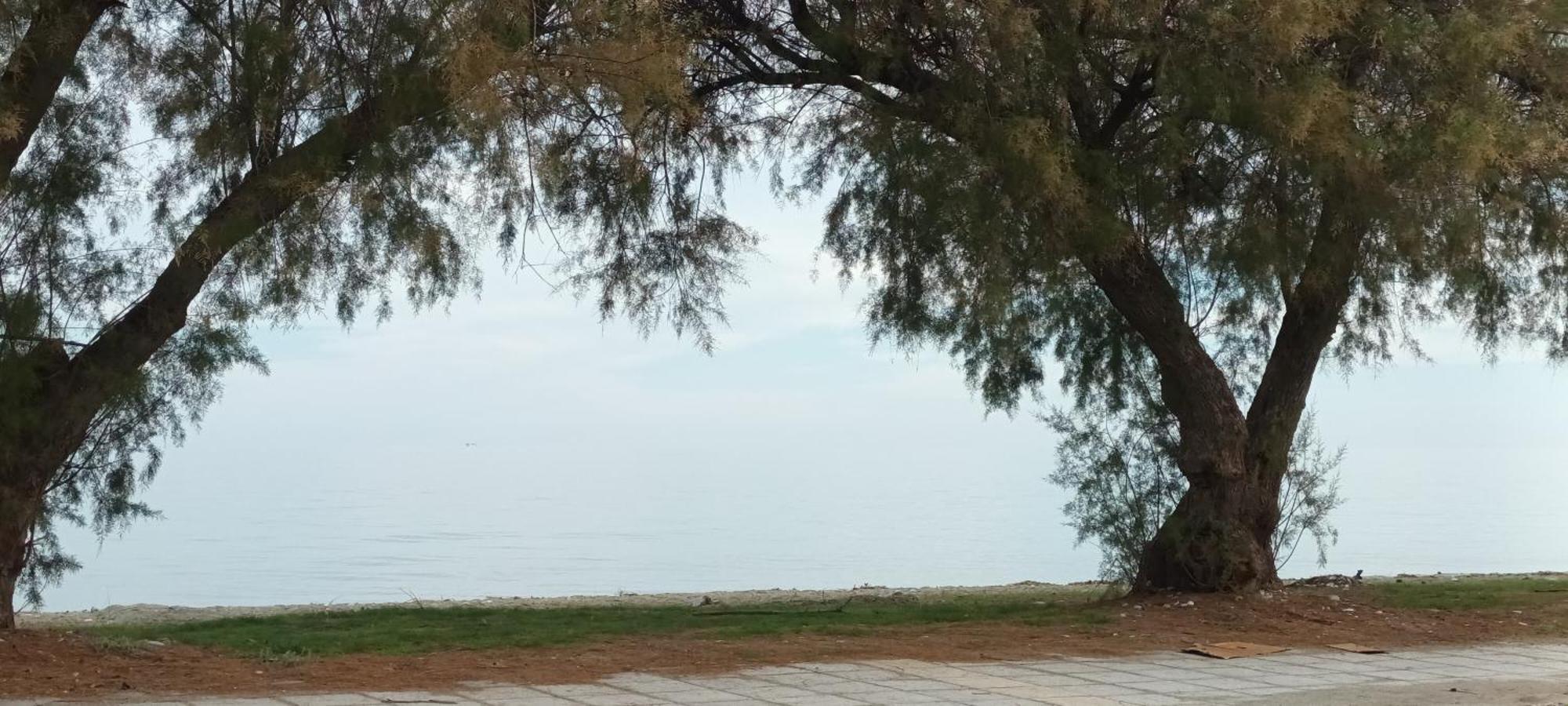 Mana Mia Seaside Apartments ليبتوكاريا المظهر الخارجي الصورة